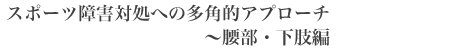 スポーツ障害対処への多角的アプローチ〜腰部・下肢編